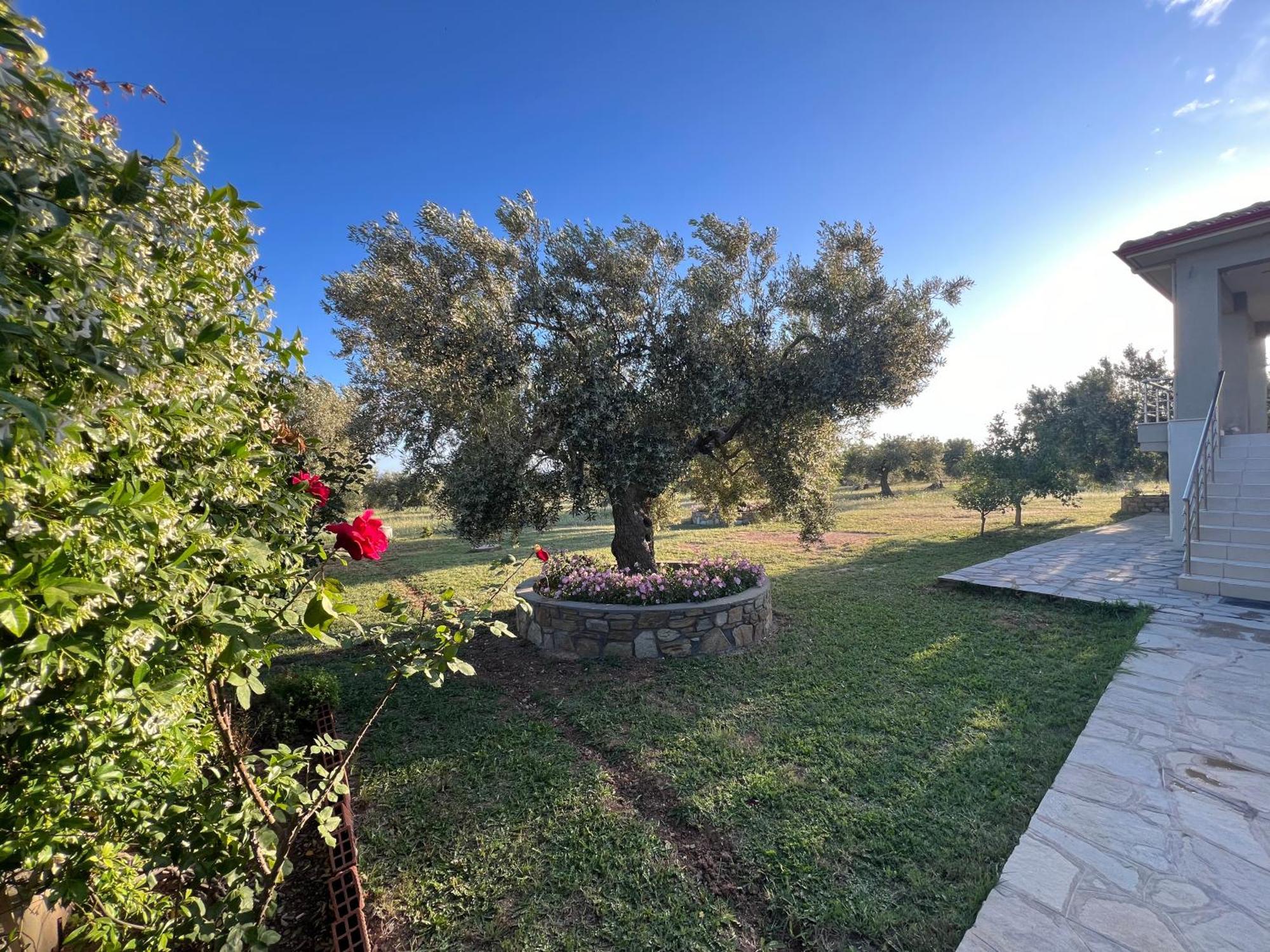 Villa Giannoula Gerakini Exterior foto